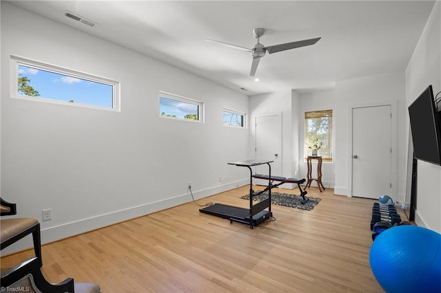 workout area featuring light hardwood / wood-style floors, plenty of natural light, and ceiling fan