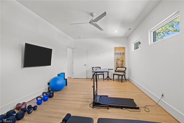 workout area with hardwood / wood-style floors and ceiling fan