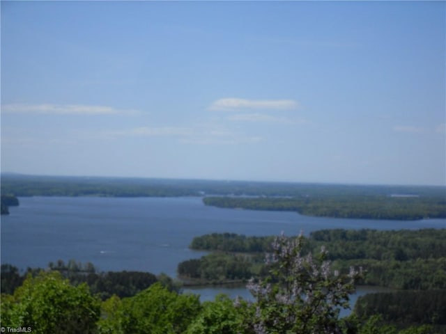 335 Healing Springs Dr, Denton, NC 27239