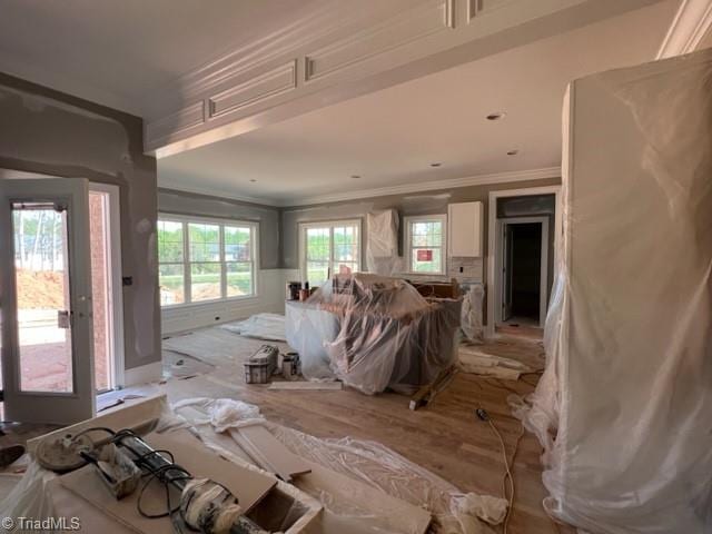 misc room featuring light hardwood / wood-style flooring and ornamental molding