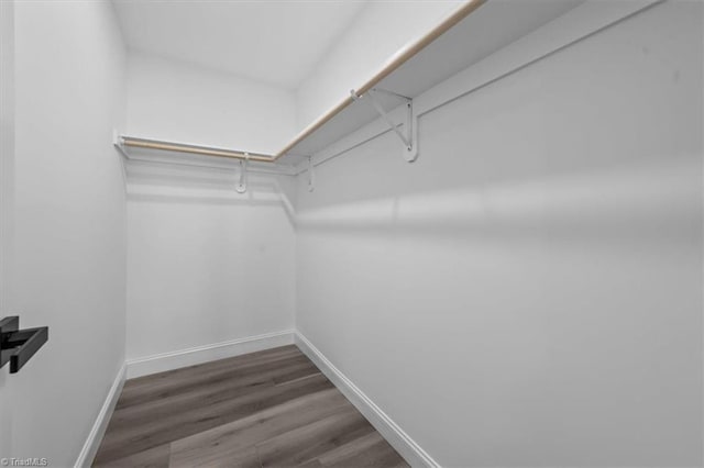 spacious closet with wood finished floors