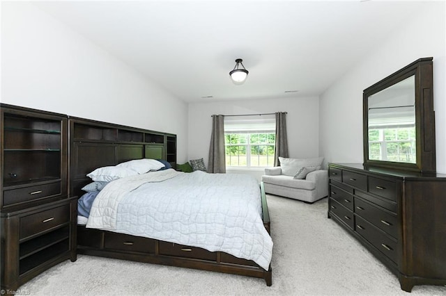 1117 Magenta Way, Kernersville, NC 27284 - bedroom with light carpet