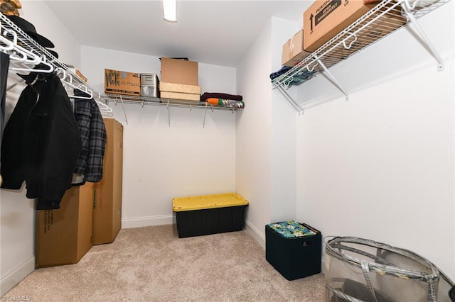 1117 Magenta Way, Kernersville, NC 27284 - walk in closet featuring carpet flooring