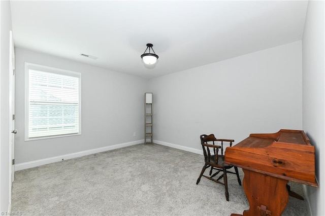 1117 Magenta Way, Kernersville, NC 27284 - office space with carpet flooring and baseboards
