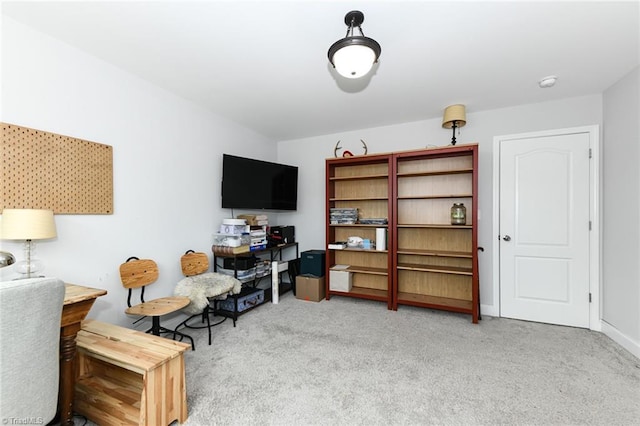 1117 Magenta Way, Kernersville, NC 27284 - living area with carpet and baseboards