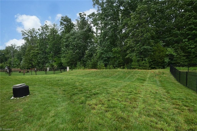 1117 Magenta Way, Kernersville, NC 27284 - view of yard