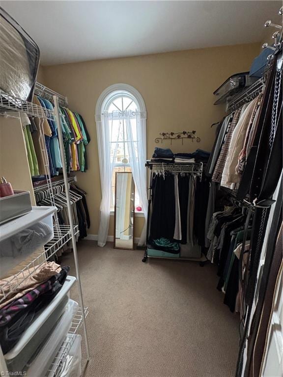 spacious closet featuring carpet floors