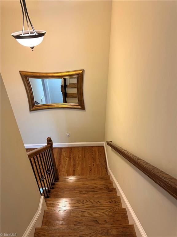 stairway with hardwood / wood-style floors