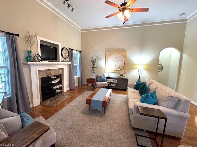 living room with wood-type flooring, a wealth of natural light, and ornamental molding