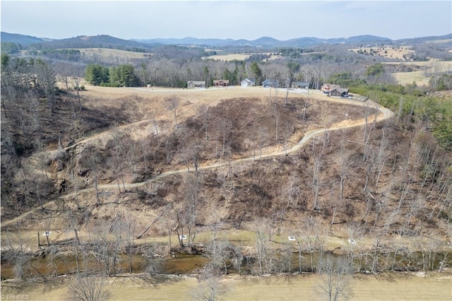 bird's eye view featuring a rural view and a mountain view