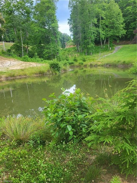 3273 N NC Highway 16, Millers Creek, NC 28651 - water view