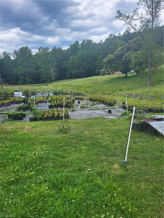 3273 N NC Highway 16, Millers Creek, NC 28651 - surrounding community featuring a lawn and a wooded view