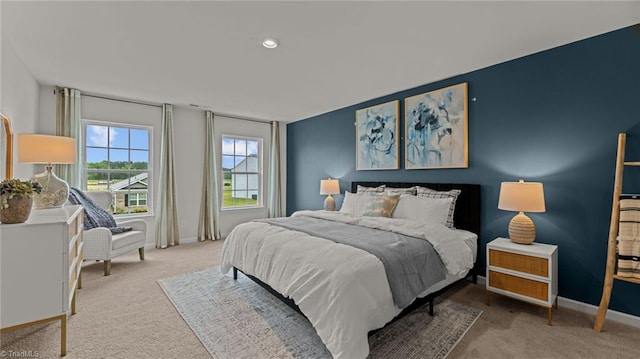 144 Rose Wind Way, Mayodan, NC 27027 - bedroom with carpet and baseboards