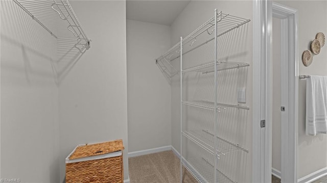144 Rose Wind Way, Mayodan, NC 27027 - walk in closet featuring carpet flooring