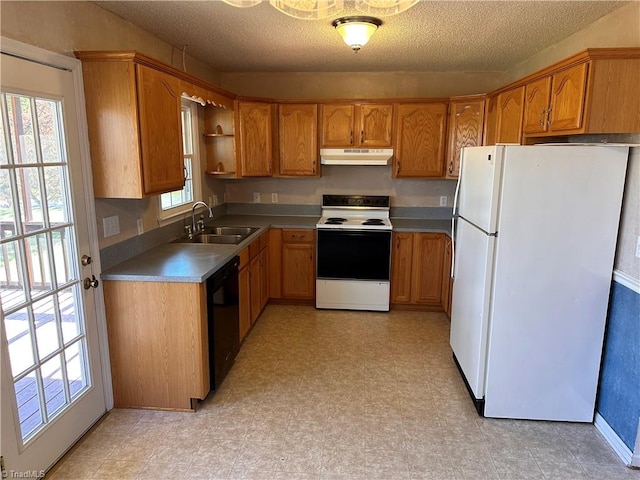 kitchen featuring a textured ceiling, white appliances, a wealth of natural light, and sink