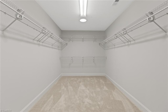 walk in closet with carpet floors