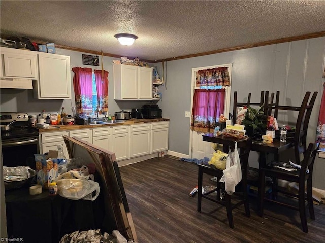 kitchen featuring electric range, dark hardwood / wood-style floors, and white cabinets