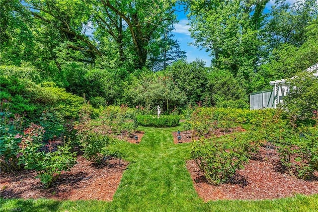 3500 Quarterstaff Pl, Winston-Salem, NC 27104 - view of green lawn