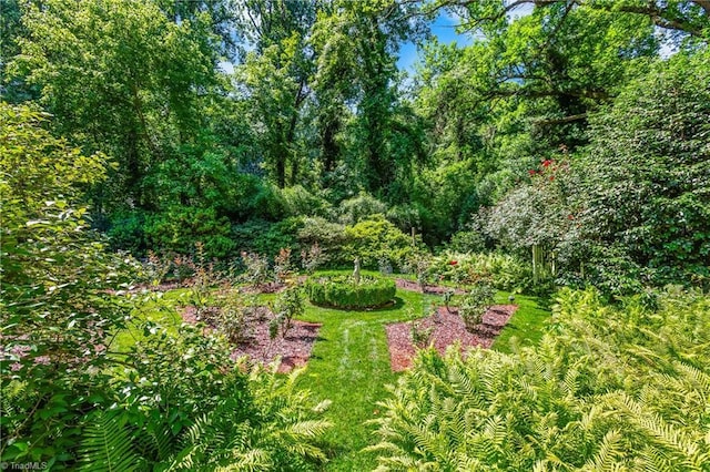 3500 Quarterstaff Pl, Winston-Salem, NC 27104 - view of yard with a view of trees