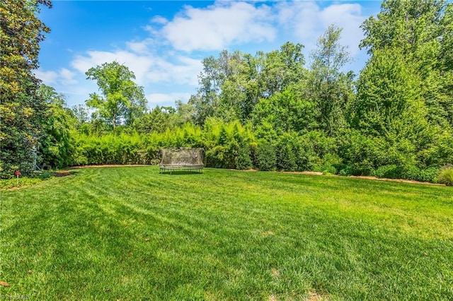 3500 Quarterstaff Pl, Winston-Salem, NC 27104 - view of green lawn