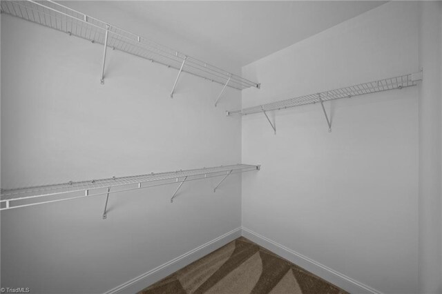 spacious closet with dark colored carpet