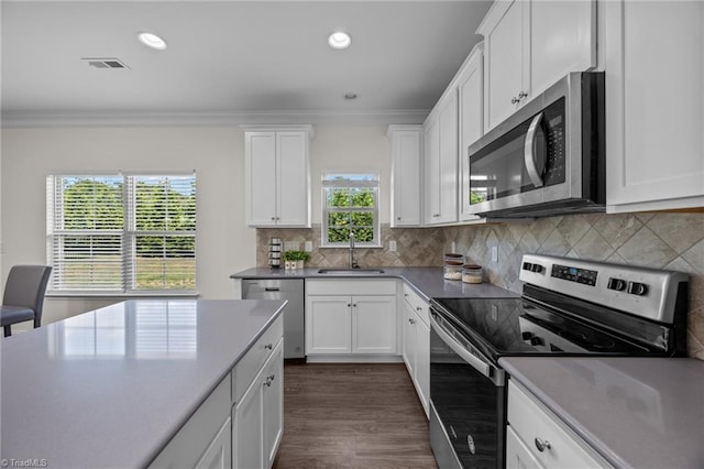 kitchen with appliances with stainless steel finishes, a sink, ornamental molding, white cabinetry, and tasteful backsplash
