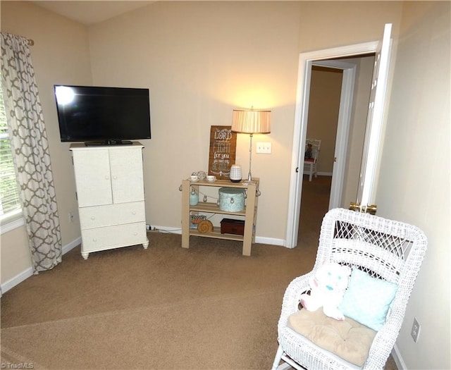149 Pinewood Ln Unit 104, Bermuda Run, NC 27006 - sitting room with carpet and baseboards