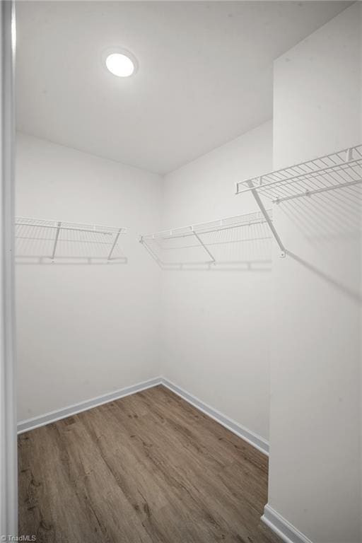 spacious closet featuring dark hardwood / wood-style flooring