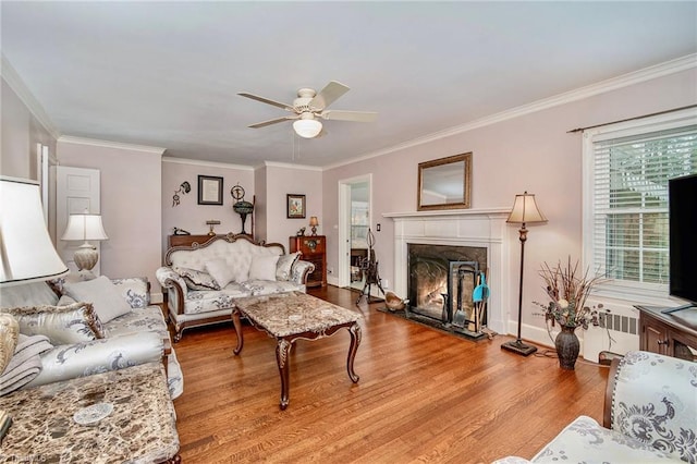 living room featuring ornamental molding, radiator heating unit, ceiling fan, and light hardwood / wood-style flooring