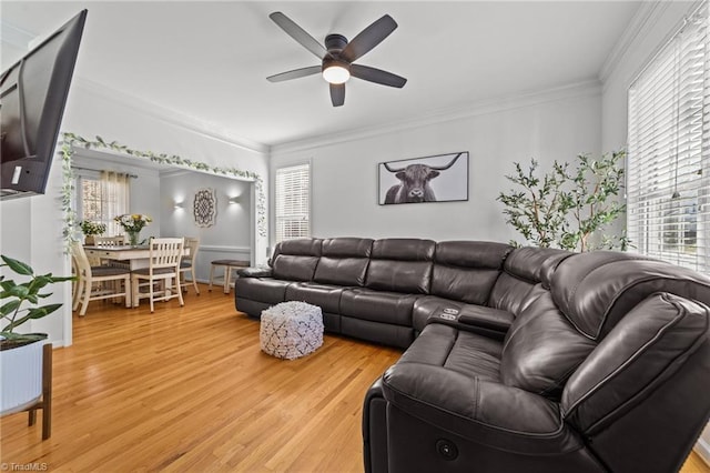 living room with crown molding, ceiling fan, plenty of natural light, and light wood-style floors