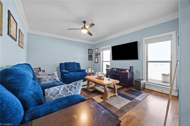 living room with ornamental molding, a ceiling fan, and wood finished floors