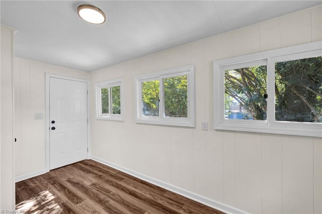 unfurnished room featuring dark hardwood / wood-style floors and a healthy amount of sunlight