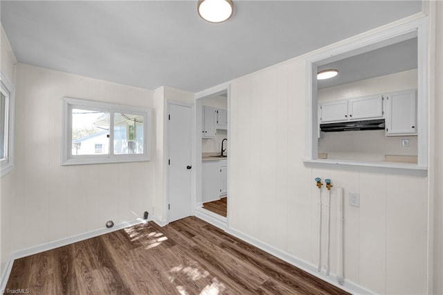 empty room with sink and dark wood-type flooring