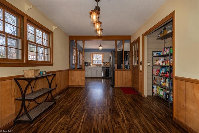 dining area with a wainscoted wall, a textured ceiling, dark wood-type flooring, and wooden walls