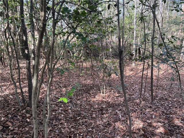 Listing photo 3 for LOT29 Chase Ln, Millers Creek NC 28651