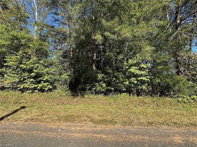 LOT3 Reed Loop, Madison NC, 27025 land for sale