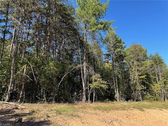 Listing photo 2 for LOT3 Reed Loop, Madison NC 27025