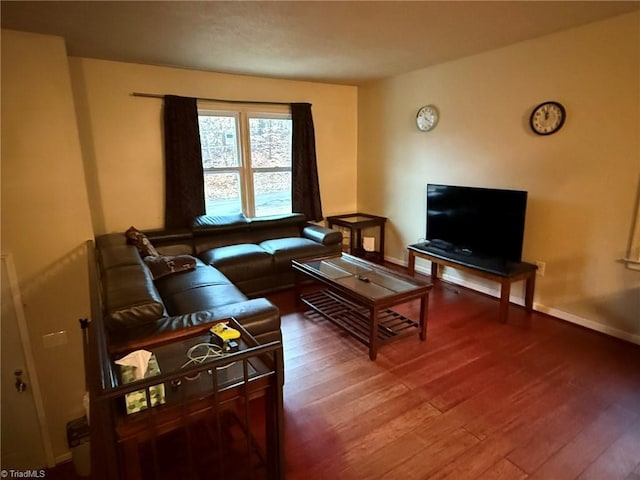 living room with hardwood / wood-style flooring