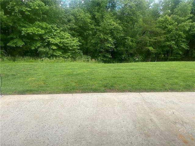 258 S Boyles St, Pilot Mountain, NC 27041 - view of green lawn