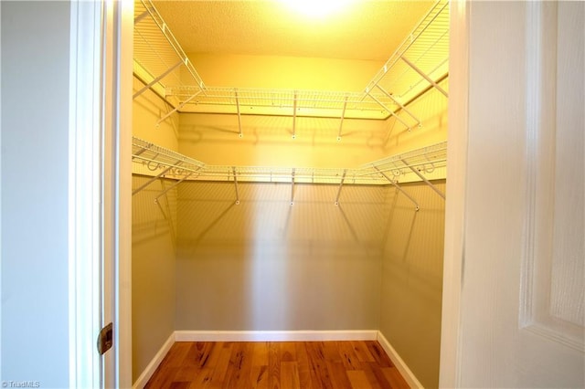 spacious closet with hardwood / wood-style flooring