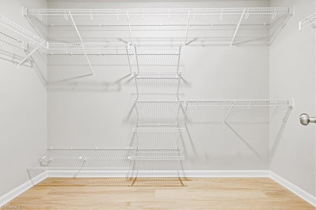 walk in closet with wood finished floors