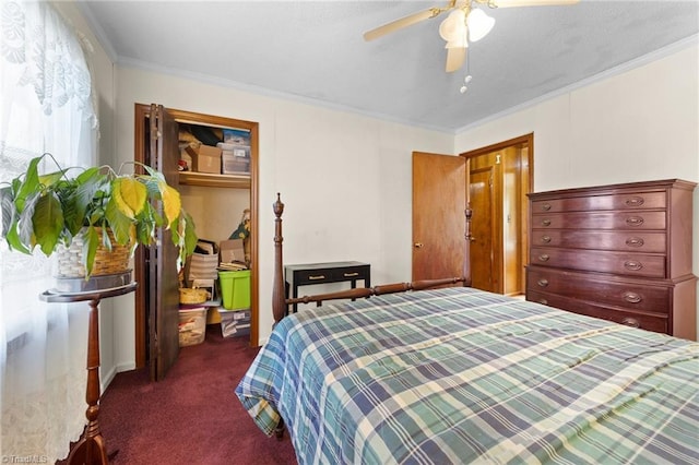 bedroom featuring a ceiling fan, dark colored carpet, and crown molding