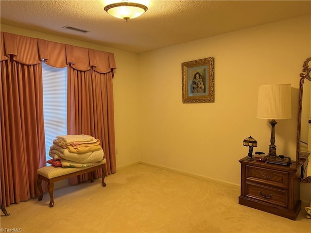 sitting room with light carpet and a textured ceiling