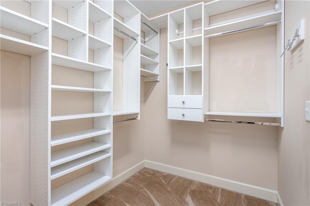 2403 Hammock Dr, High Point, NC 27265 - walk in closet with carpet floors