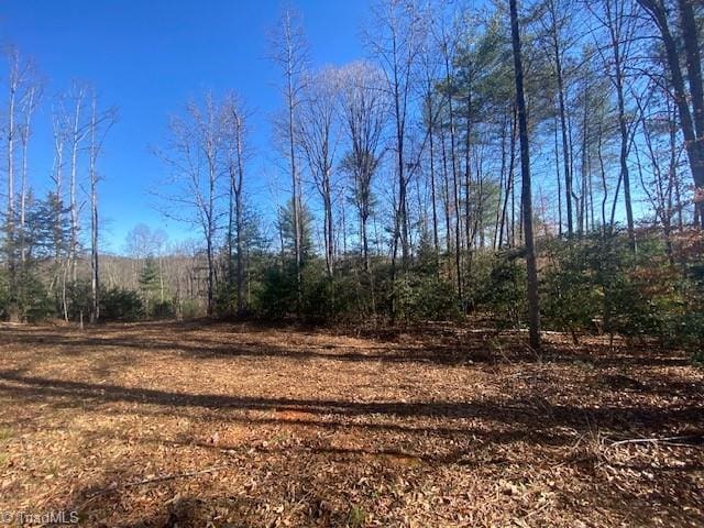 LOT3 Bayberry Ln, Purlear NC, 28665 land for sale