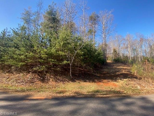 Listing photo 3 for LOT3 Bayberry Ln, Purlear NC 28665