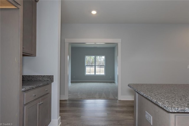 206 Cason Dr, Gibsonville, NC 27249 - kitchen with dark wood-style flooring, baseboards, and recessed lighting