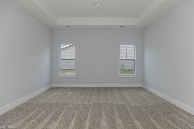 206 Cason Dr, Gibsonville, NC 27249 - empty room with carpet, a raised ceiling, and baseboards