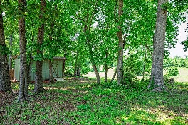 1625 Eagle Crest Dr, Pfafftown, NC 27040 - view of yard featuring a storage shed and an outdoor structure