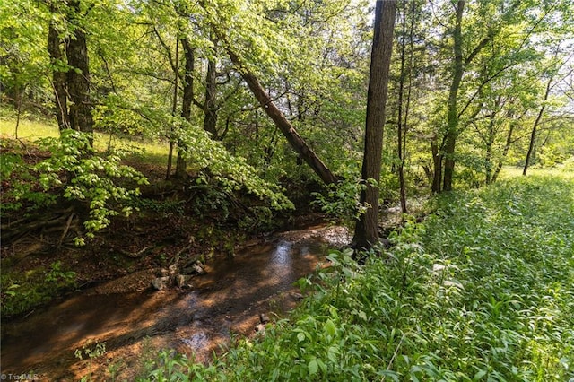 view of landscape featuring a forest view